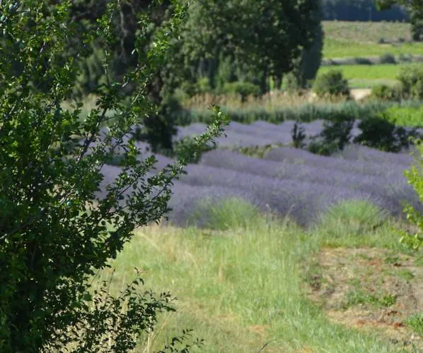 Hébergement de vacances La Petite Machotte *